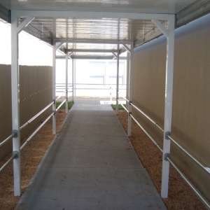 Temporary Walkway Cover