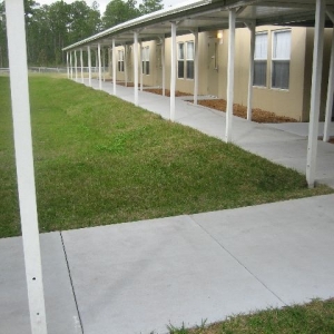 Temporary Walkway Cover